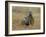 Meerkats (Suricates) (Suricata Suricatta), Greater Addo National Park, South Africa, Africa-Steve & Ann Toon-Framed Photographic Print