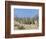 Meerkats (Suricates) (Suricata Suricatta), Kalahari Gemsbok Park, South Africa, Africa-Steve & Ann Toon-Framed Photographic Print