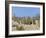 Meerkats (Suricates) (Suricata Suricatta), Kalahari Gemsbok Park, South Africa, Africa-Steve & Ann Toon-Framed Photographic Print