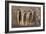 Meerkats-Tony Camacho-Framed Photographic Print