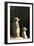 Meerkats-Karyn Millet-Framed Photographic Print