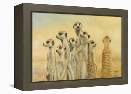 Meerkats-Henk Van Zanten-Framed Stretched Canvas