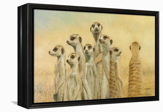 Meerkats-Henk Van Zanten-Framed Stretched Canvas