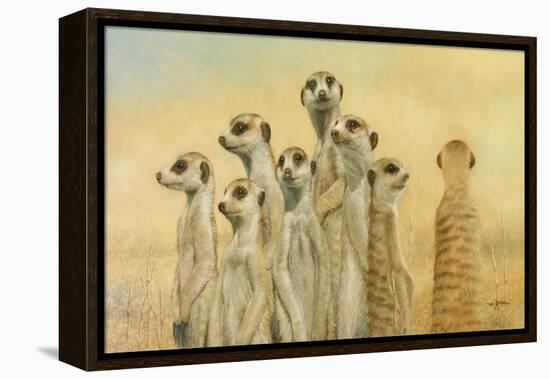 Meerkats-Henk Van Zanten-Framed Stretched Canvas