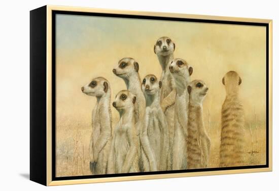 Meerkats-Henk Van Zanten-Framed Stretched Canvas