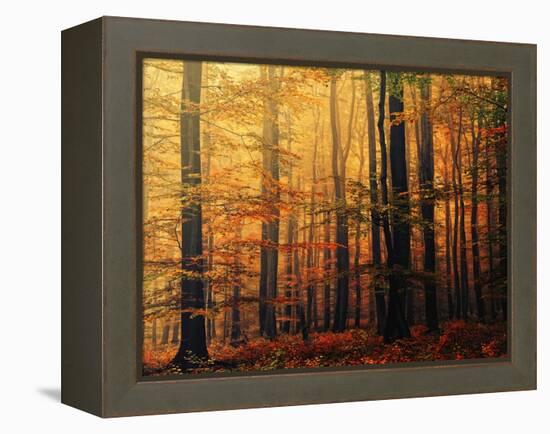 Meet Me in the Morning-Philippe Sainte-Laudy-Framed Premier Image Canvas