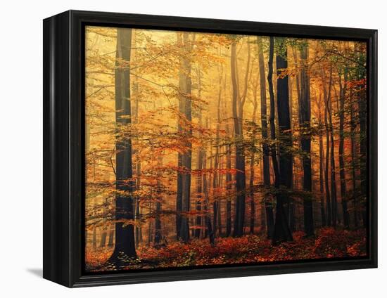 Meet Me in the Morning-Philippe Sainte-Laudy-Framed Premier Image Canvas