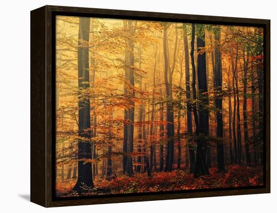 Meet Me in the Morning-Philippe Sainte-Laudy-Framed Premier Image Canvas