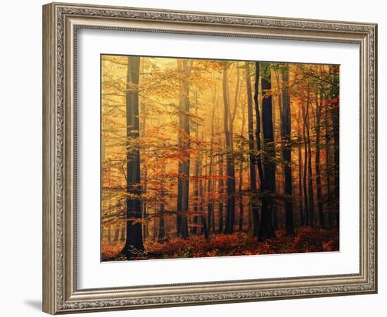 Meet Me in the Morning-Philippe Sainte-Laudy-Framed Photographic Print