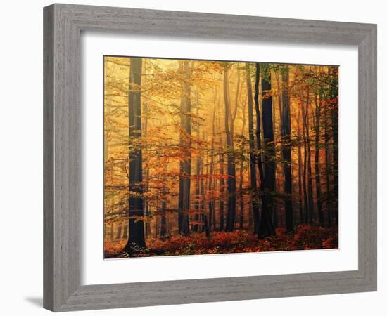 Meet Me in the Morning-Philippe Sainte-Laudy-Framed Photographic Print