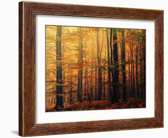 Meet Me in the Morning-Philippe Sainte-Laudy-Framed Photographic Print