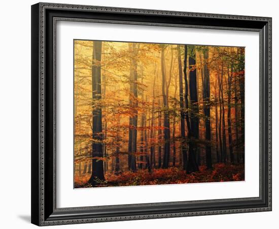 Meet Me in the Morning-Philippe Sainte-Laudy-Framed Photographic Print