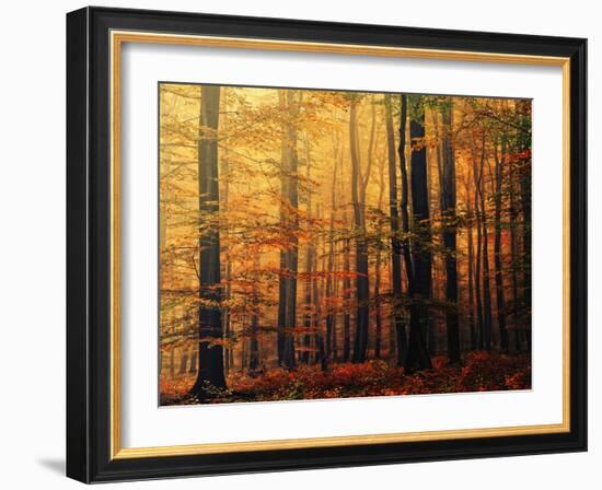 Meet Me in the Morning-Philippe Sainte-Laudy-Framed Photographic Print