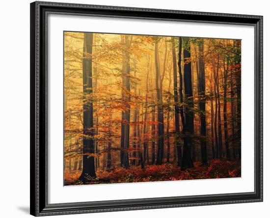 Meet Me in the Morning-Philippe Sainte-Laudy-Framed Photographic Print