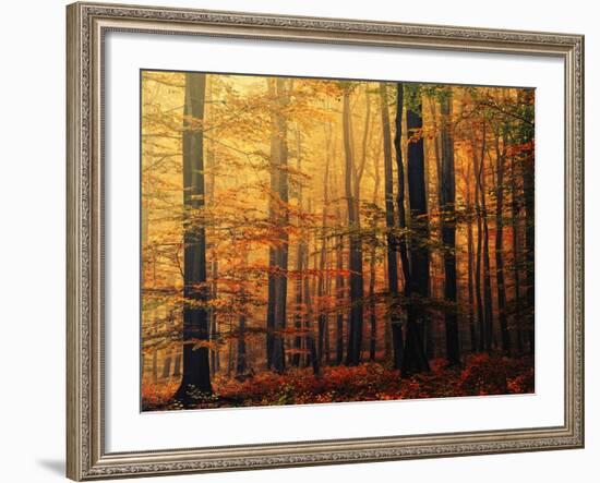 Meet Me in the Morning-Philippe Sainte-Laudy-Framed Photographic Print