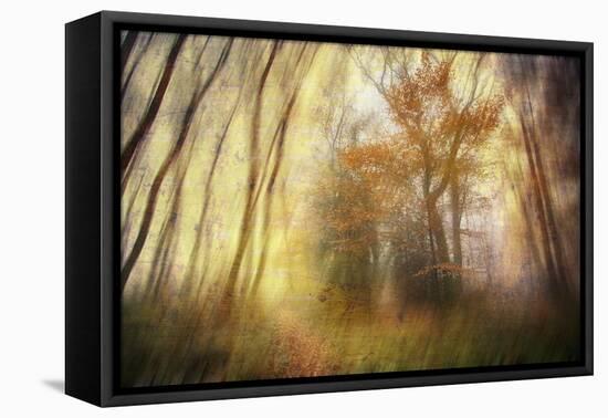 Meet-Viviane Fedieu Daniel-Framed Premier Image Canvas