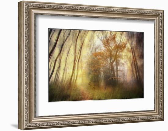 Meet-Viviane Fedieu Daniel-Framed Photographic Print