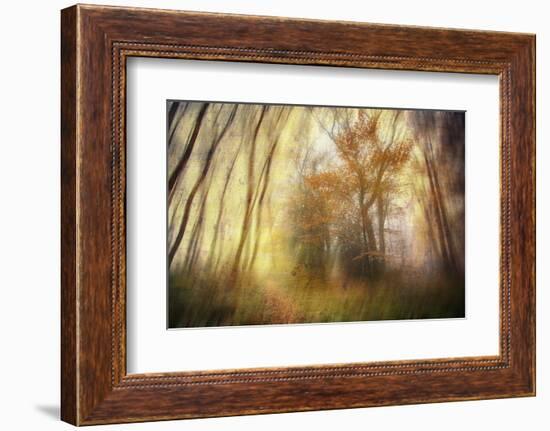 Meet-Viviane Fedieu Daniel-Framed Photographic Print