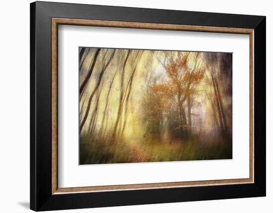 Meet-Viviane Fedieu Daniel-Framed Photographic Print