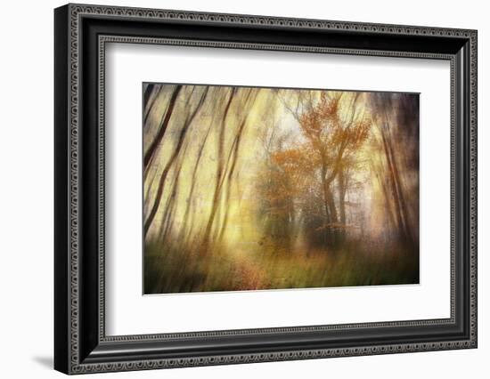 Meet-Viviane Fedieu Daniel-Framed Photographic Print