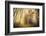 Meet-Viviane Fedieu Daniel-Framed Photographic Print