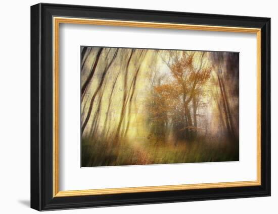 Meet-Viviane Fedieu Daniel-Framed Photographic Print