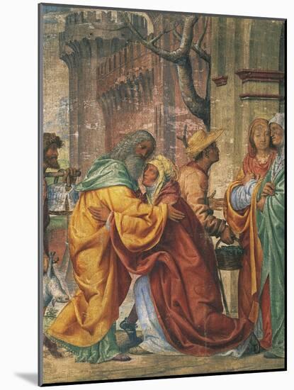 Meeting Between St Anne and St Joachim, Detail from Stories of St Joseph-Bernardino Luini-Mounted Giclee Print