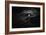 Meeting in the Month of Ink as Painting-Ryuji Adachi-Framed Photographic Print