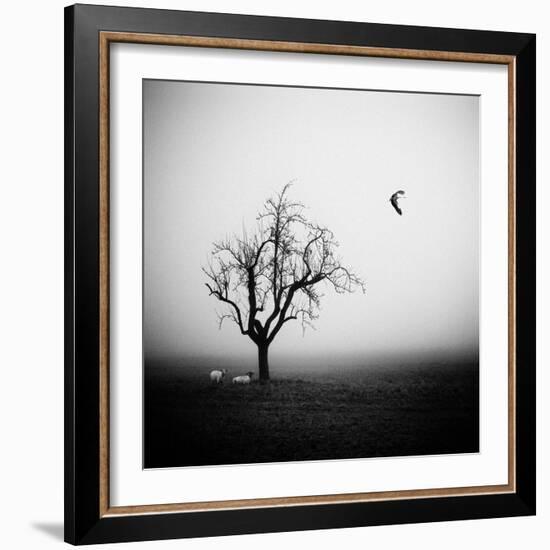 Meeting in the Morning Mist-Holger Droste-Framed Photographic Print