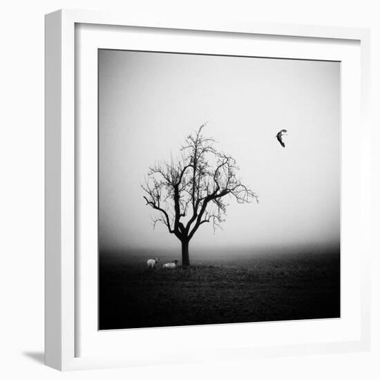 Meeting in the Morning Mist-Holger Droste-Framed Photographic Print