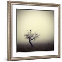 Meeting In The Morning-Holger Droste-Framed Giclee Print