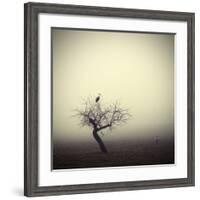 Meeting In The Morning-Holger Droste-Framed Giclee Print