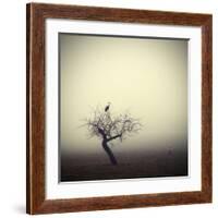 Meeting In The Morning-Holger Droste-Framed Giclee Print