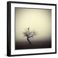 Meeting In The Morning-Holger Droste-Framed Giclee Print