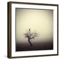 Meeting In The Morning-Holger Droste-Framed Giclee Print