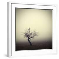Meeting In The Morning-Holger Droste-Framed Giclee Print