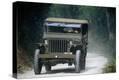 Stretched Canvas Print