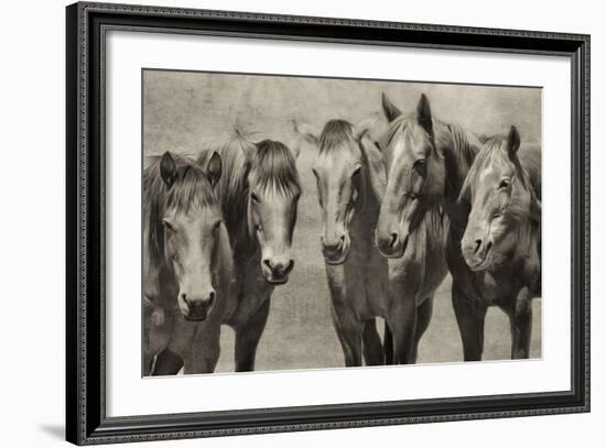 Meeting of the Minds-PHBurchett-Framed Photographic Print