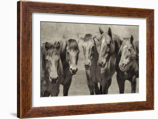 Meeting of the Minds-PHBurchett-Framed Photographic Print