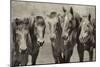 Meeting of the Minds-PHBurchett-Mounted Photographic Print