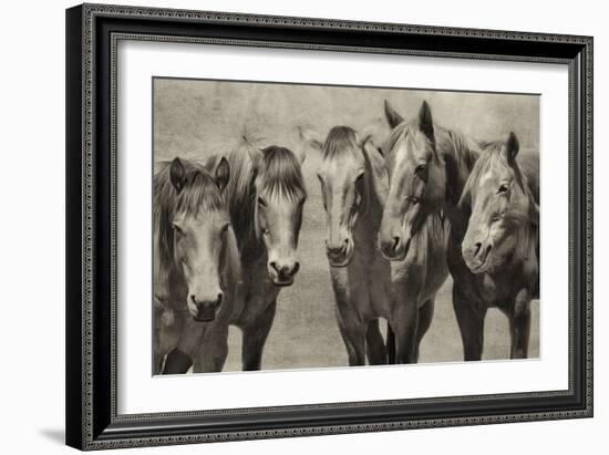 Meeting of the Minds-PHBurchett-Framed Photographic Print