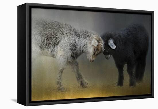 Meeting of the Minds-Jai Johnson-Framed Premier Image Canvas