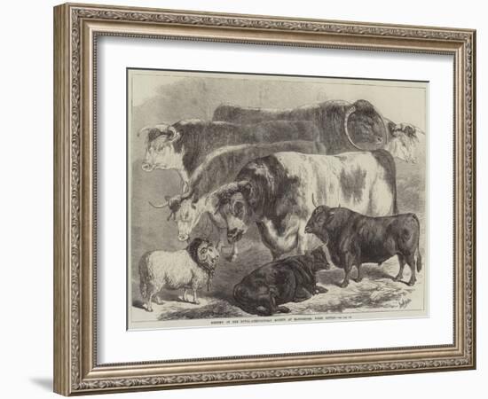 Meeting of the Royal Agricultural Society at Manchester, Prize Cattle-Samuel John Carter-Framed Giclee Print