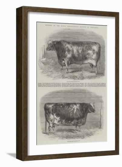 Meeting of the Royal Agricultural Society at Newcastle-null-Framed Giclee Print