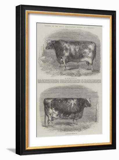 Meeting of the Royal Agricultural Society at Newcastle-null-Framed Giclee Print