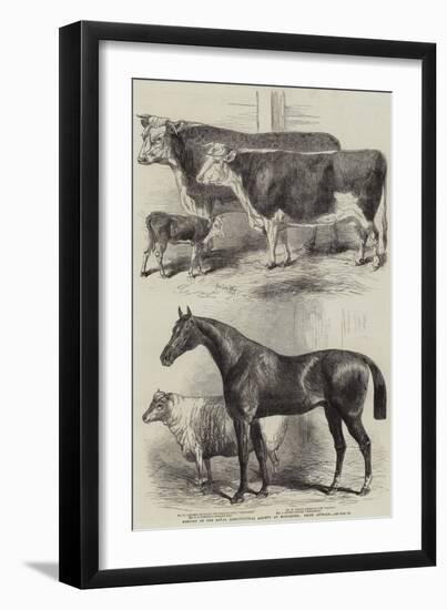 Meeting of the Royal Agricultural Society at Worcester, Prize Animals-Harrison William Weir-Framed Giclee Print