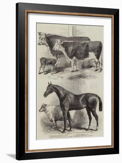 Meeting of the Royal Agricultural Society at Worcester, Prize Animals-Harrison William Weir-Framed Giclee Print