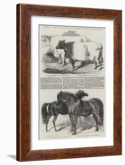 Meeting of the Royal Agricultural Society of England, at Carlisle-Harrison William Weir-Framed Giclee Print
