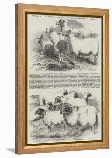 Meeting of the Royal Agricultural Society of England, at Carlisle-Harrison William Weir-Framed Premier Image Canvas