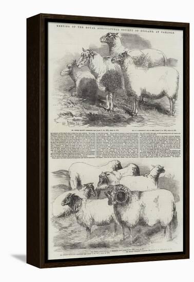 Meeting of the Royal Agricultural Society of England, at Carlisle-Harrison William Weir-Framed Premier Image Canvas